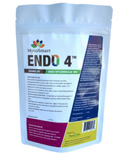 Load image into Gallery viewer, Endo 4 - Granular