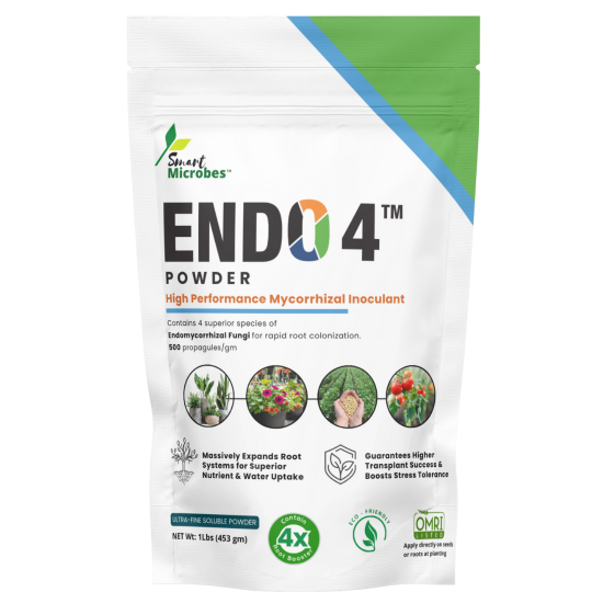 Endo 4- Powder